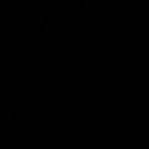 Meet your Posher, Liliana